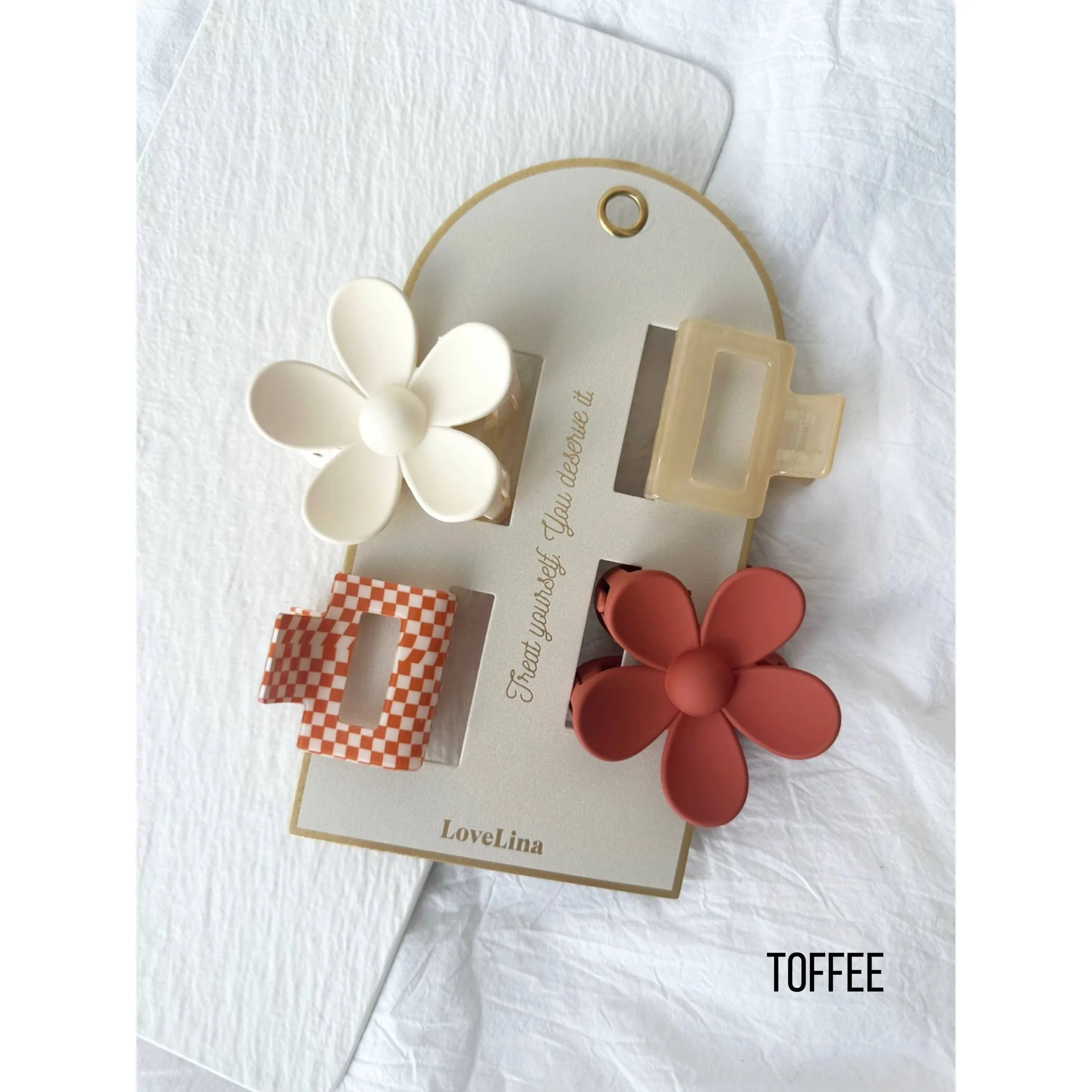 4 Piece Assorted Hair Clip Set - Brick or Toffee
