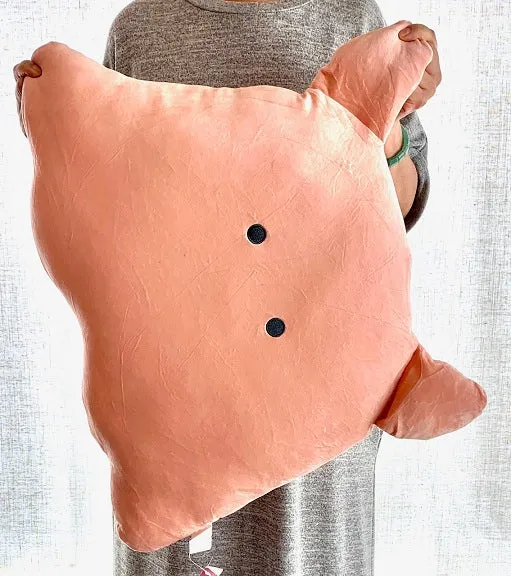 63219 AQUARIUM JUMBO PLUSH PILLOWS-5
