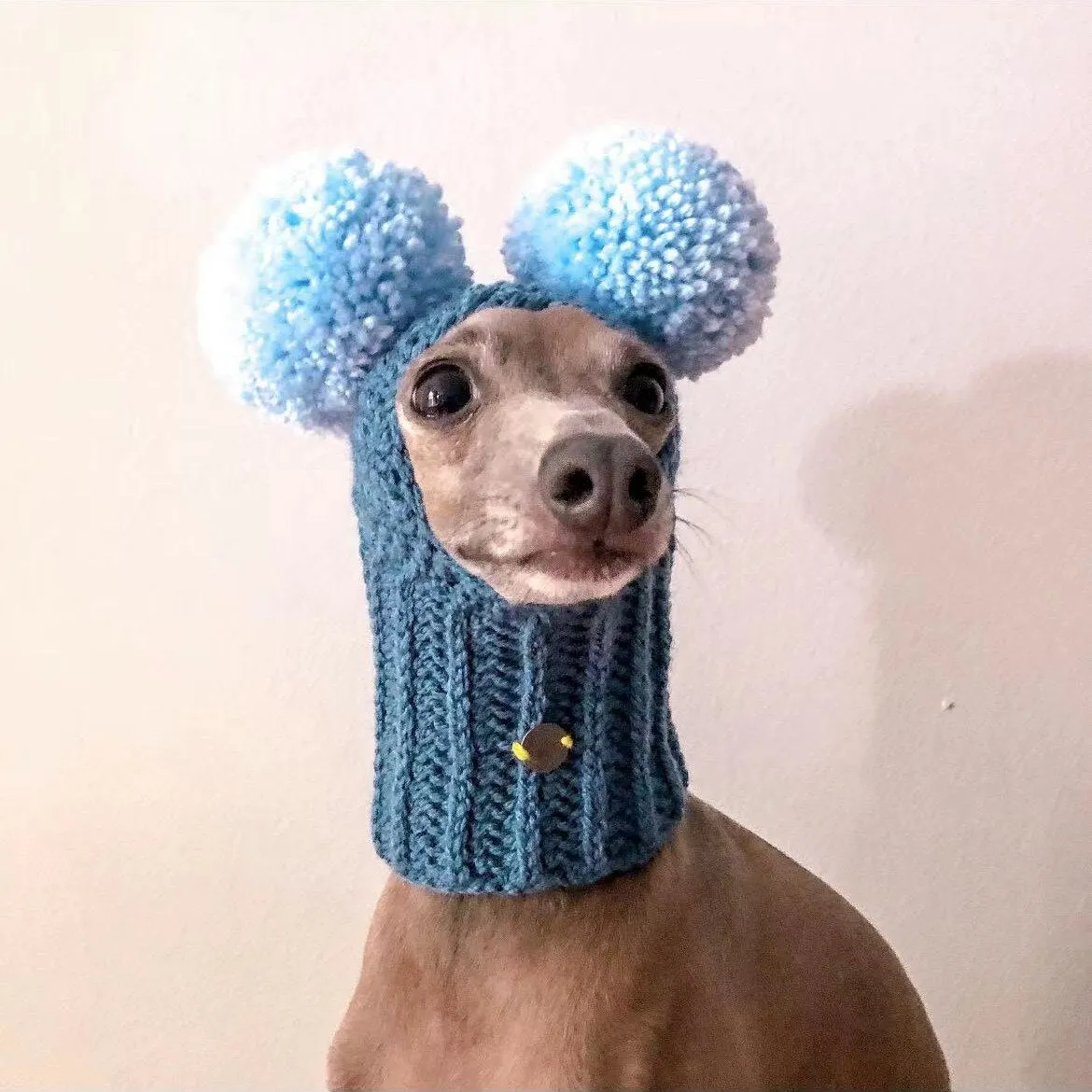 Adorable Hand-Woven Italian Greyhound Hat with Two Pom-Poms | Pet Hats Collection