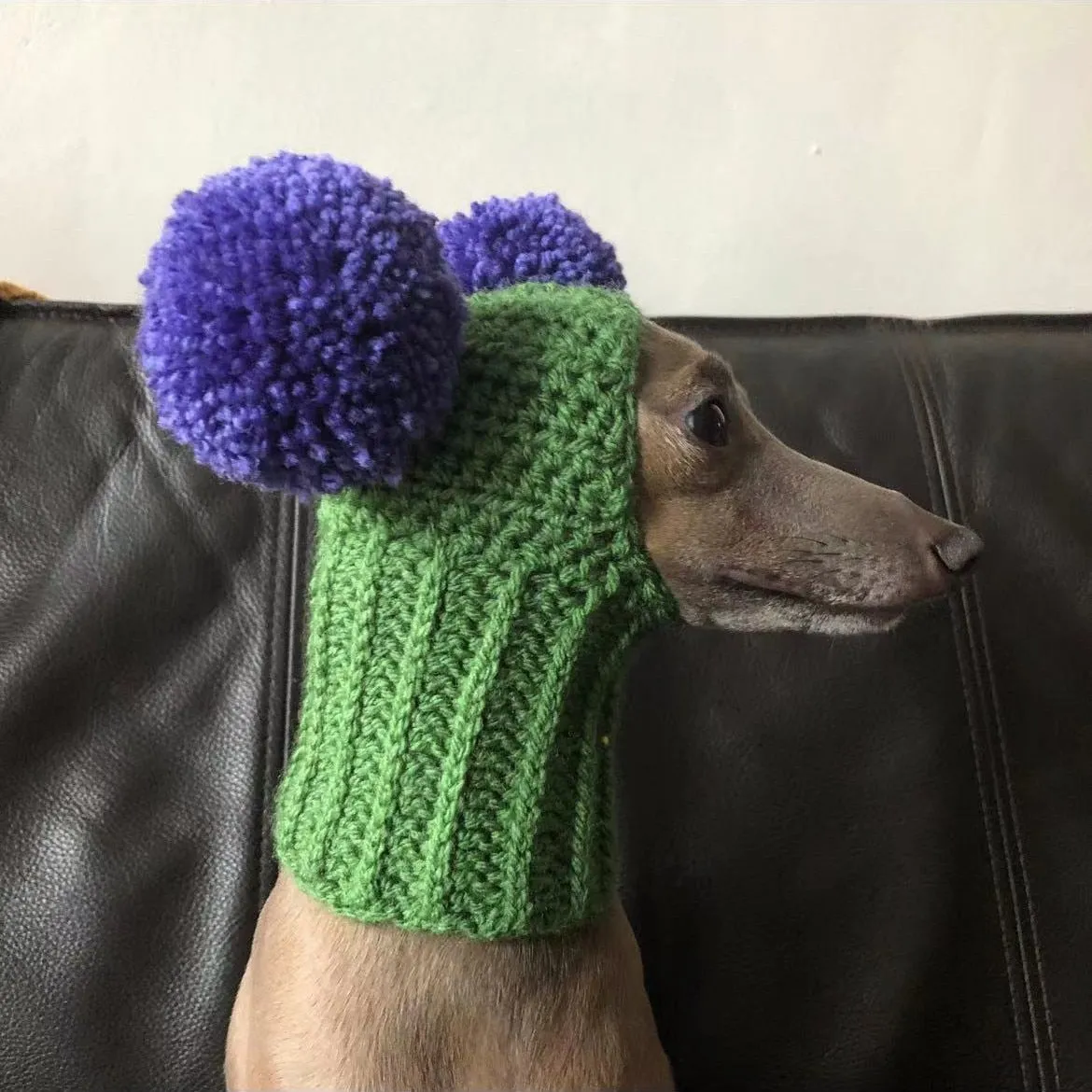 Adorable Hand-Woven Italian Greyhound Hat with Two Pom-Poms | Pet Hats Collection