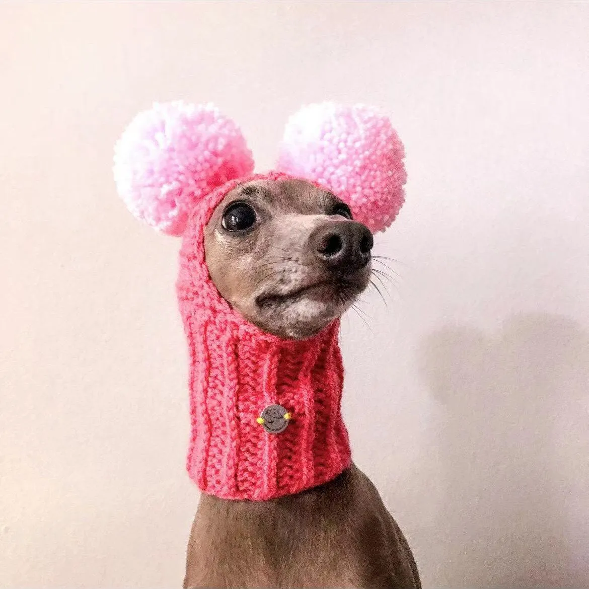 Adorable Hand-Woven Italian Greyhound Hat with Two Pom-Poms | Pet Hats Collection