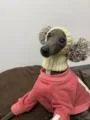 Adorable Hand-Woven Italian Greyhound Hat with Two Pom-Poms | Pet Hats Collection