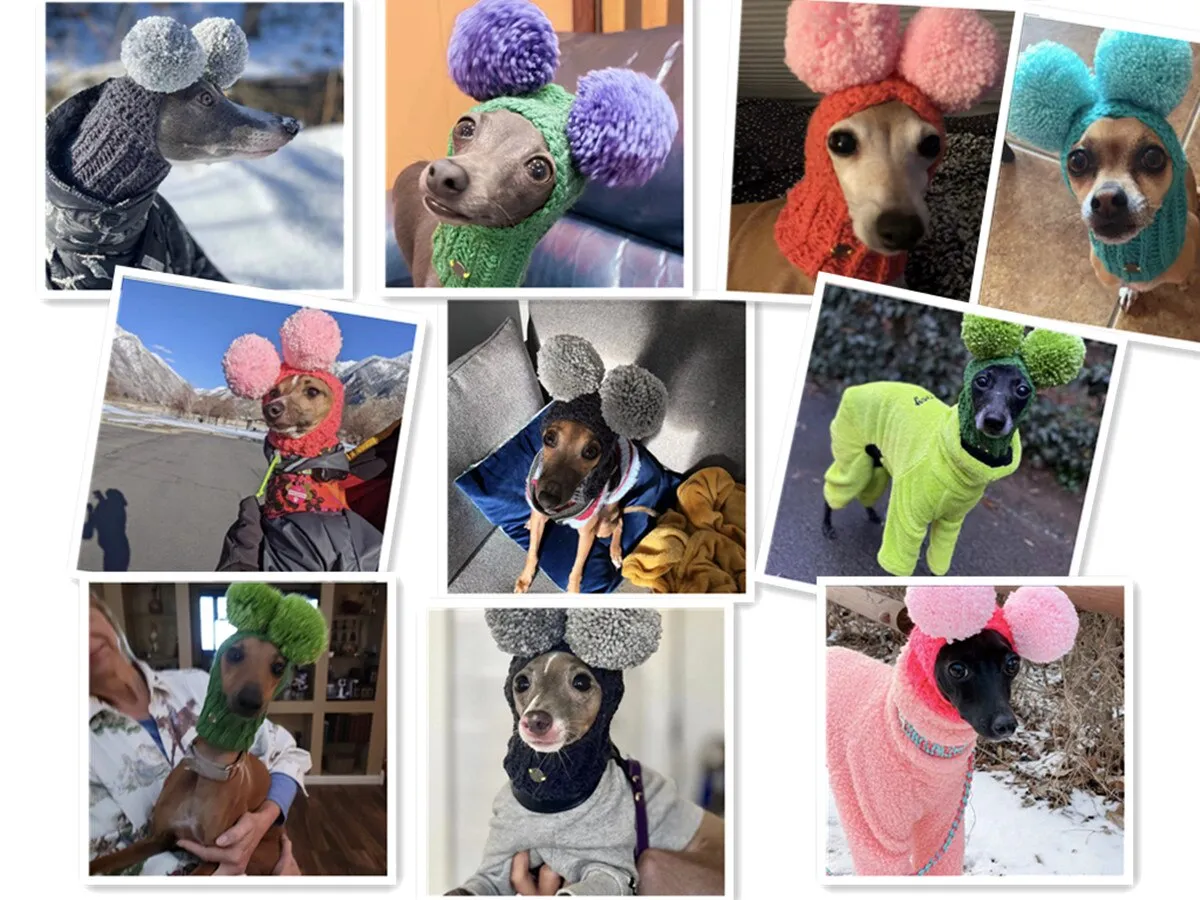 Adorable Hand-Woven Italian Greyhound Hat with Two Pom-Poms | Pet Hats Collection