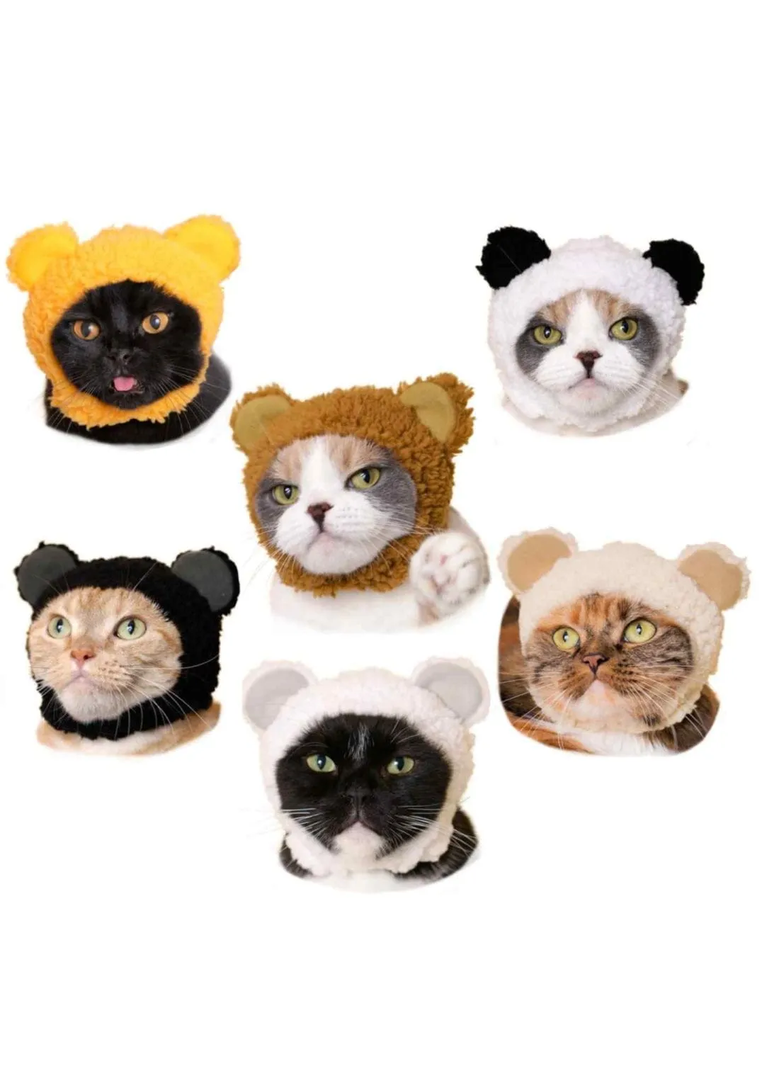 Bear Cat Cap Surprise Box