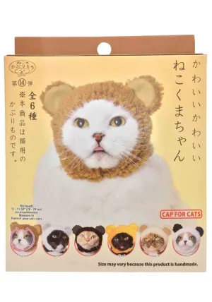 Bear Cat Cap Surprise Box