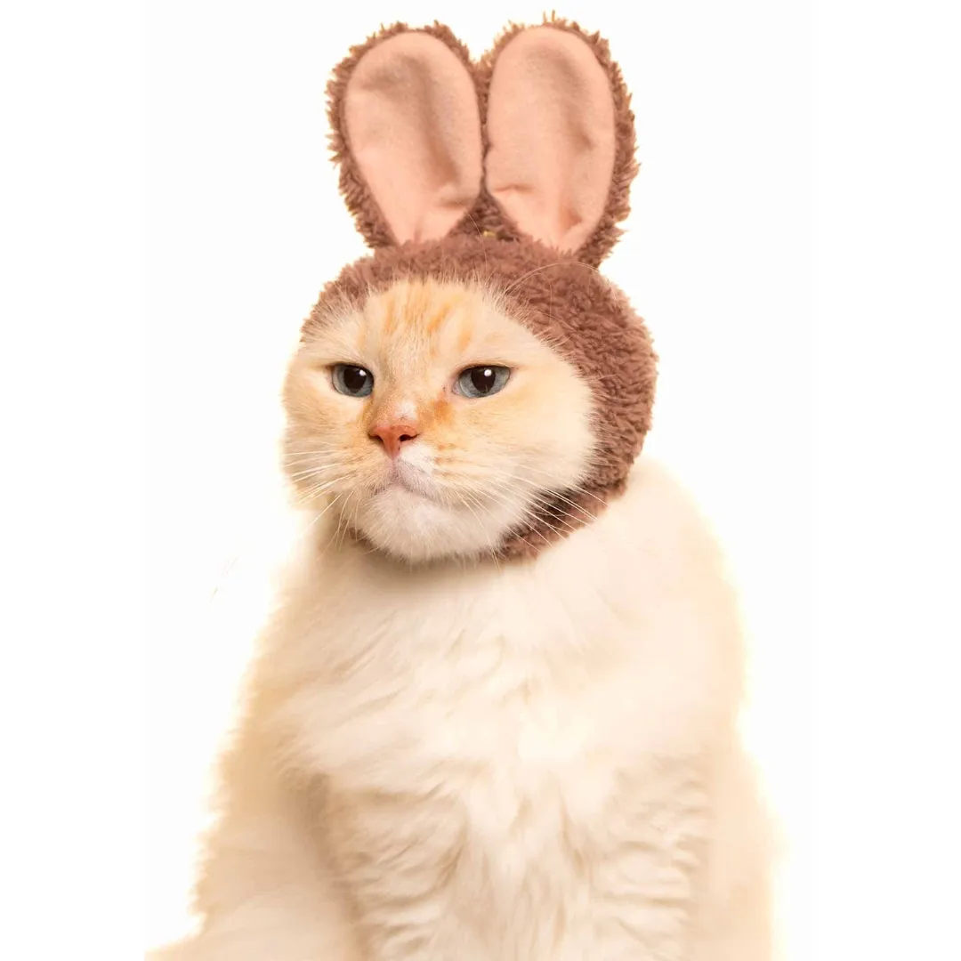 Bunny Cap for Cats Blind Box