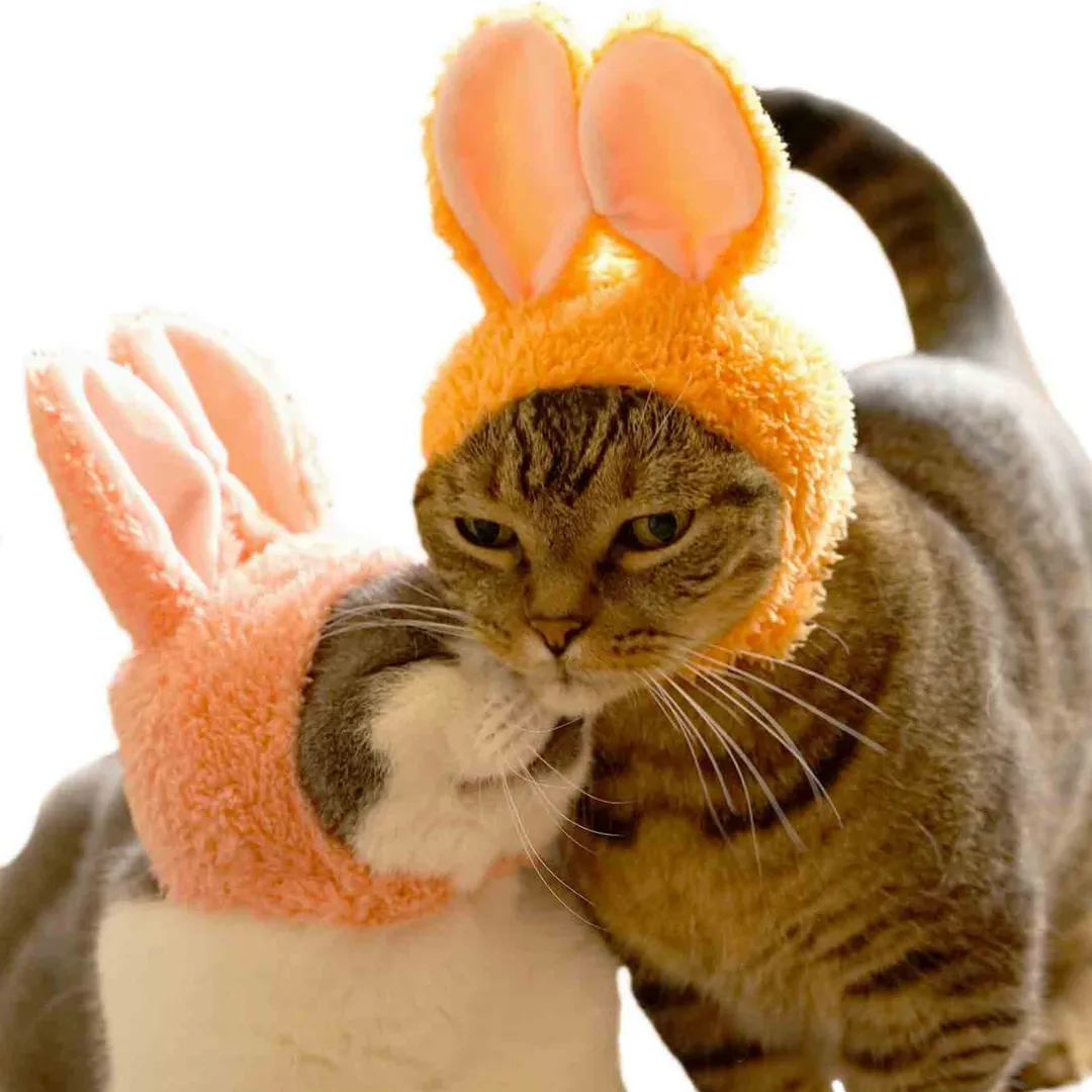 Bunny Cap for Cats Blind Box