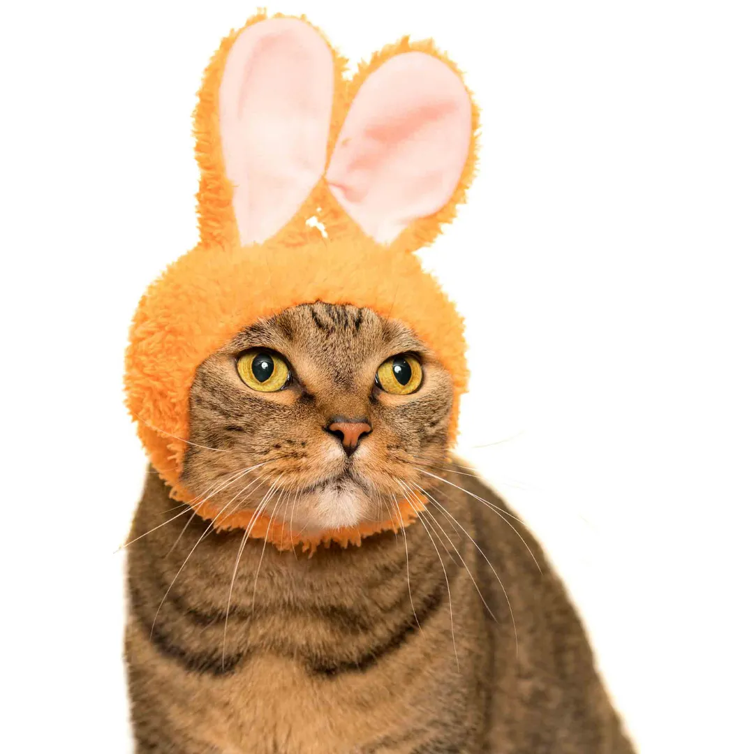 Bunny Cap for Cats Blind Box