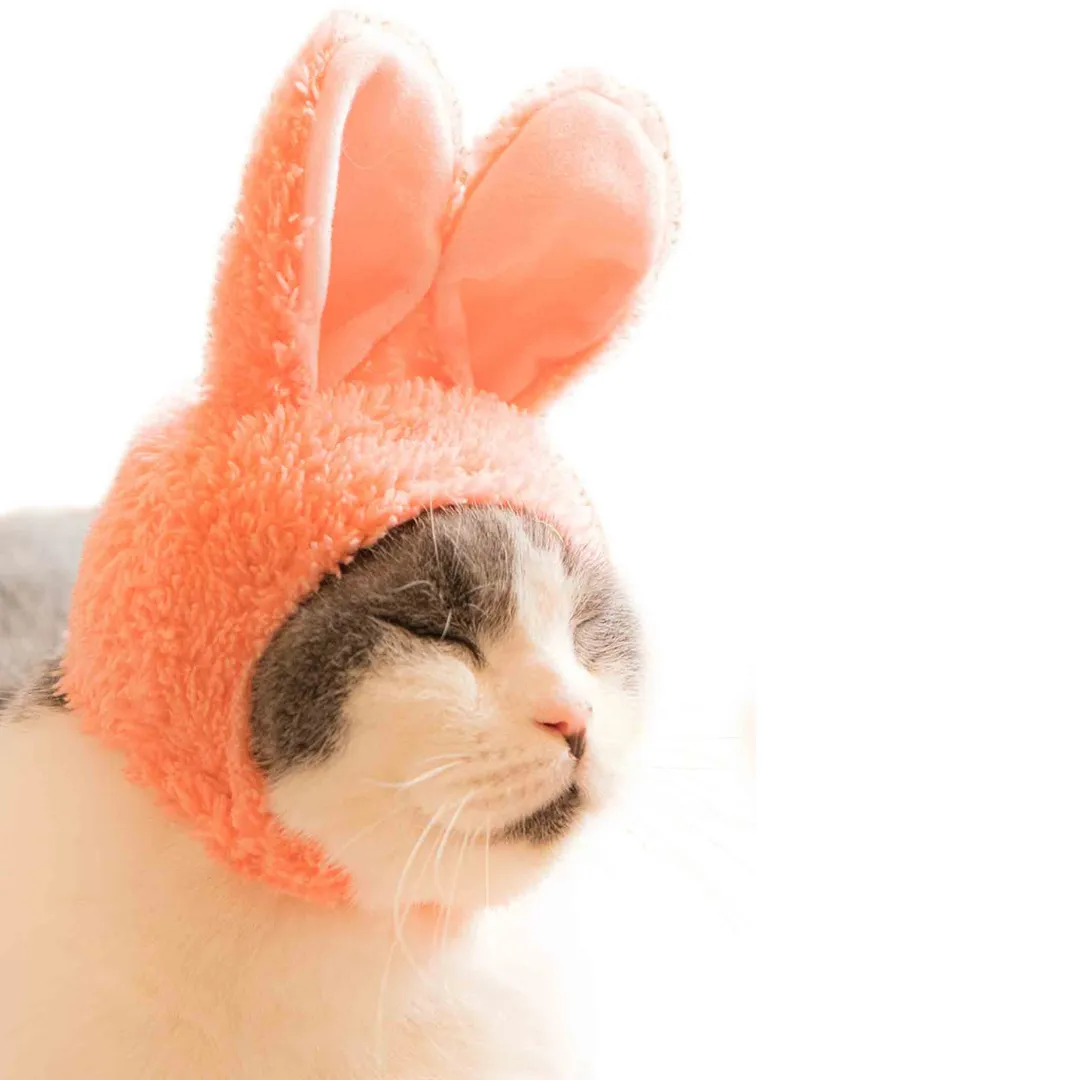 Bunny Cap for Cats Blind Box