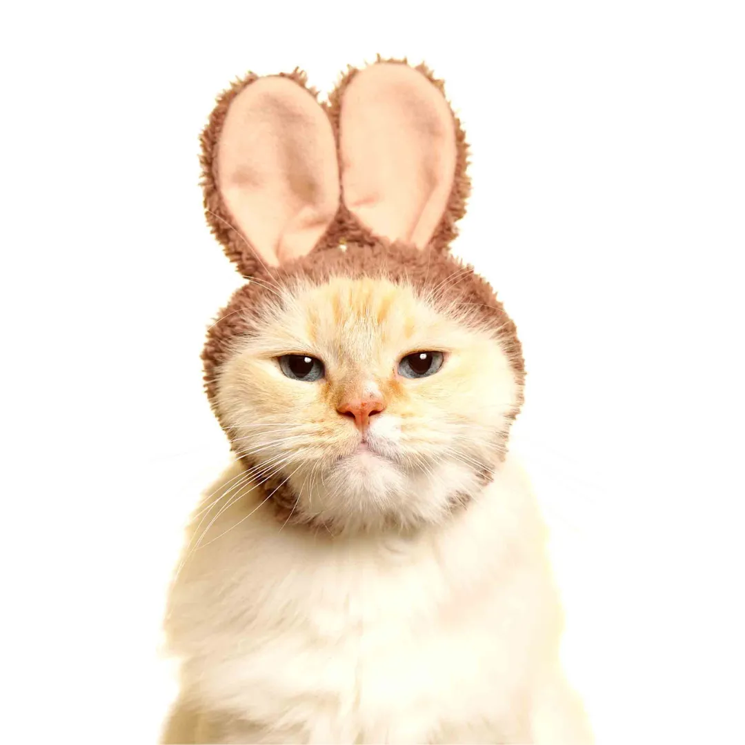 Bunny Cap for Cats Blind Box