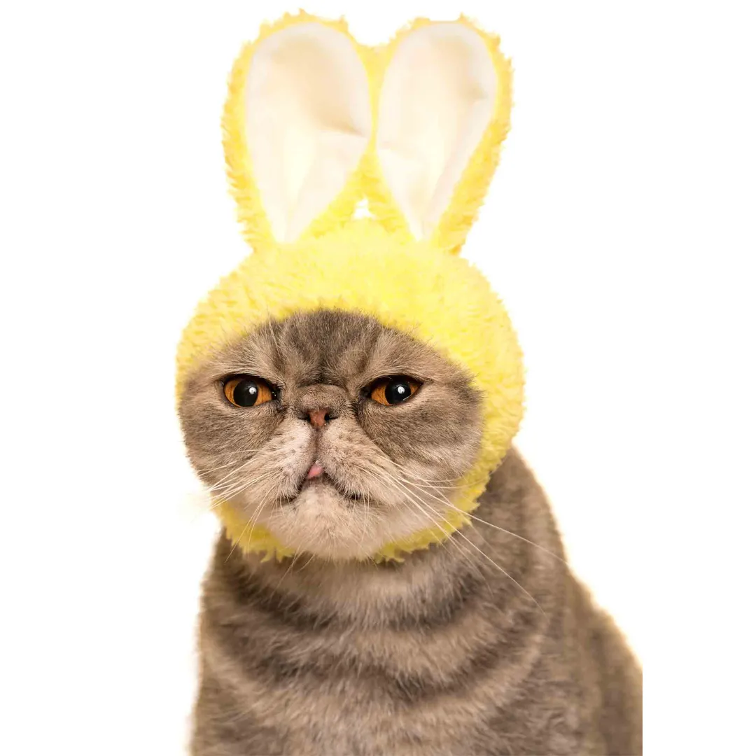 Bunny Cap for Cats Blind Box