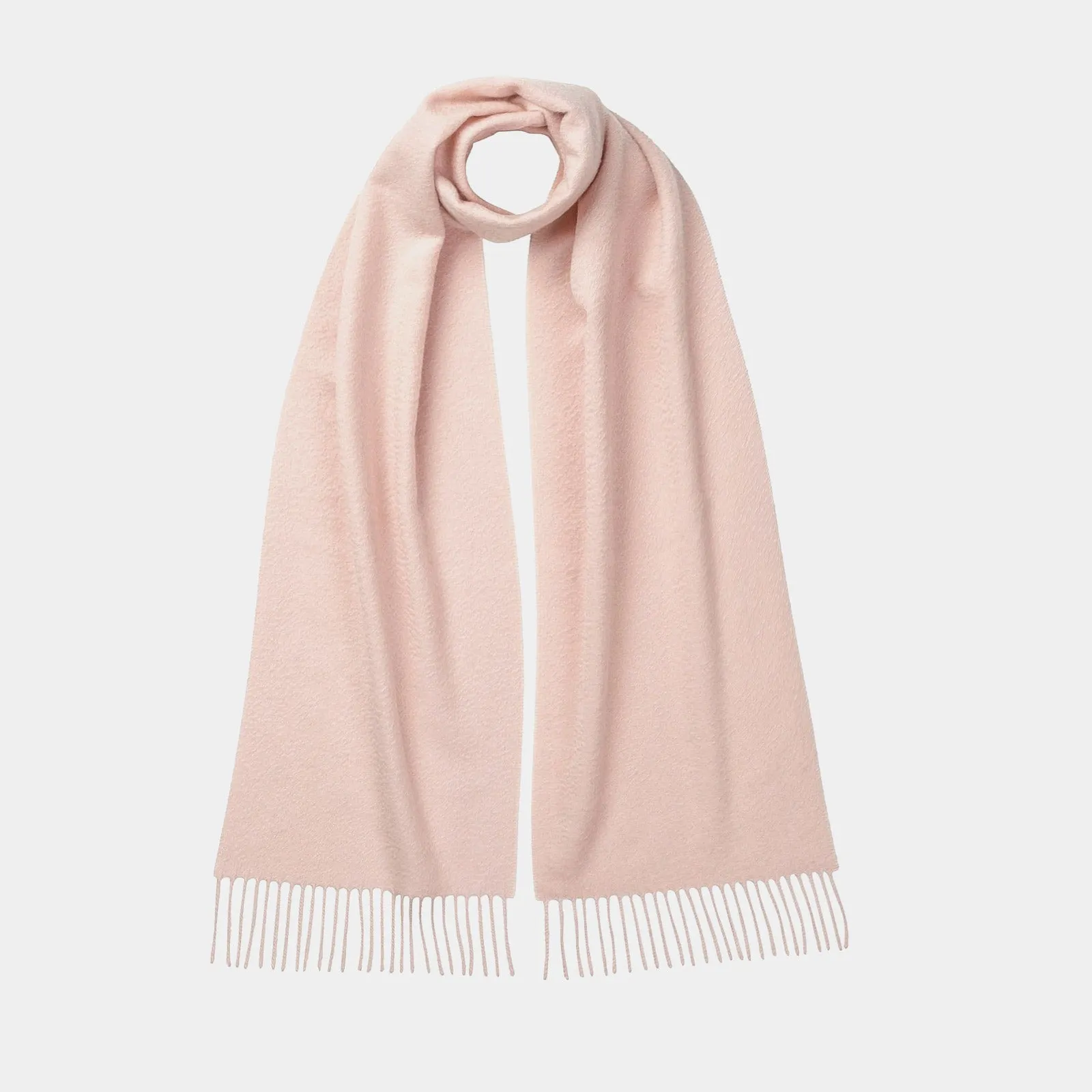 Cashmere Scarf in Powder Pink Color