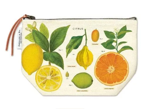 Cavallini Vintage Print Makeup Pencil Pouch