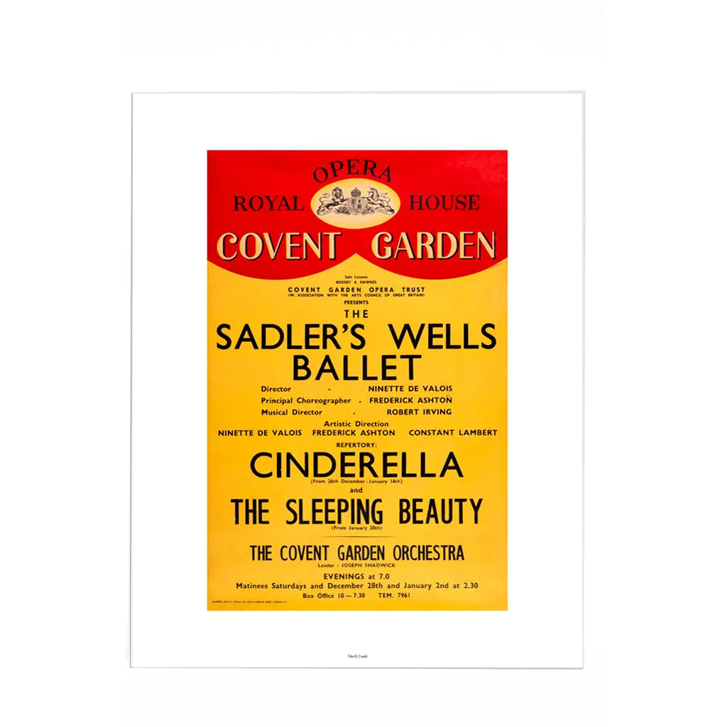 Cinderella/Sleeping Beauty Heritage Print