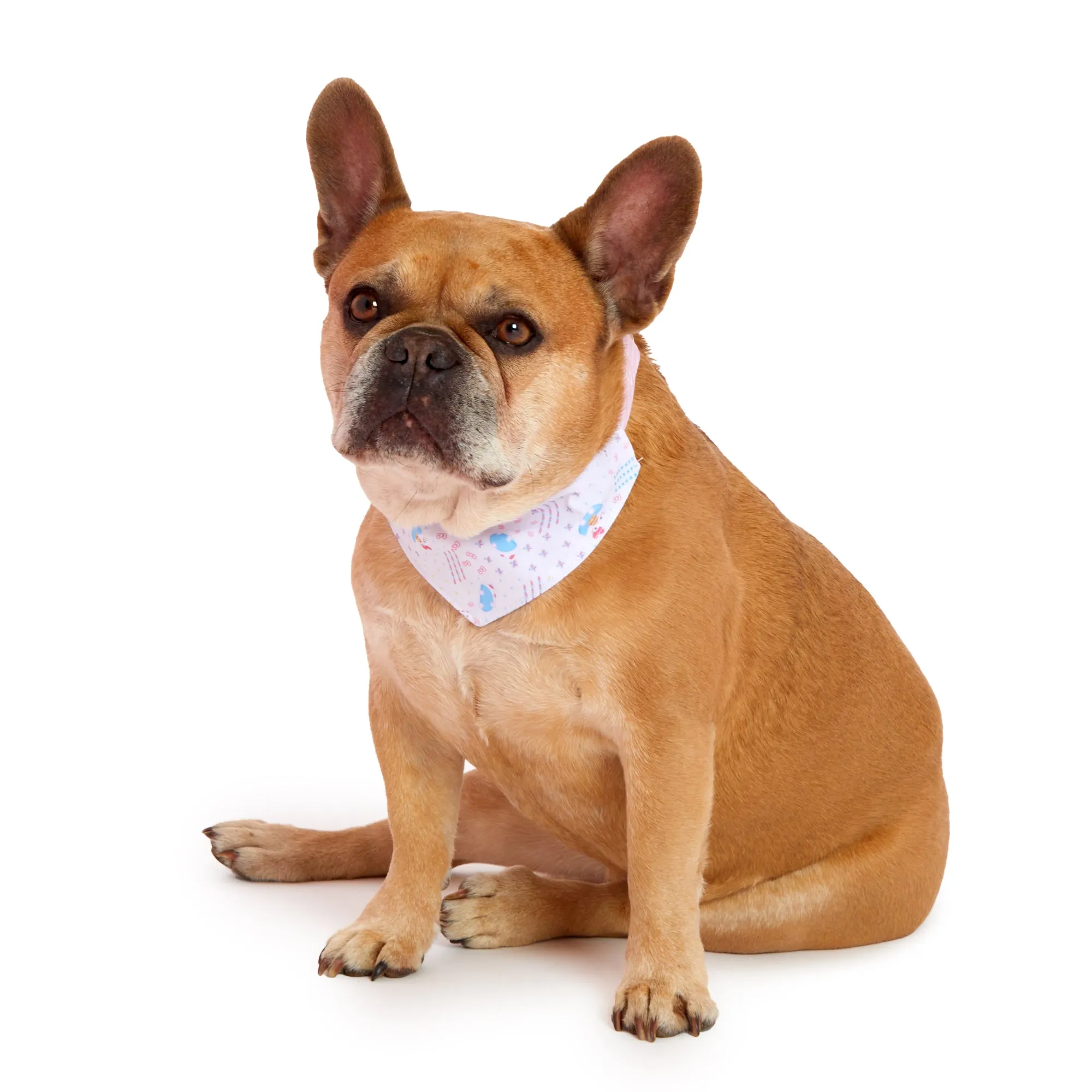 Cinnamoroll Pet Collar Set (Sanrio Pet Collection)