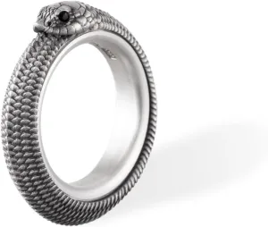 COPPERTIST.WU Ouroboros Spin Ring 925 Sterling Silver Anxiety Rings Hognose Snake Spinner Ring Fidget Stress Relieving Ring Jewelry Gift for Men Women