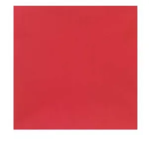 G.I. Type Inspection Ready Beret