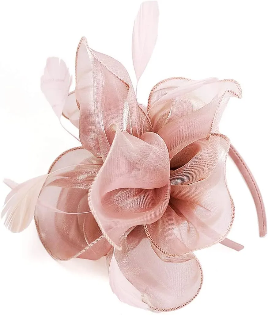 Gionforsy Kentucky Derby Hat Fascinator Veil Headband Pillbox Set for Wedding Tea Party