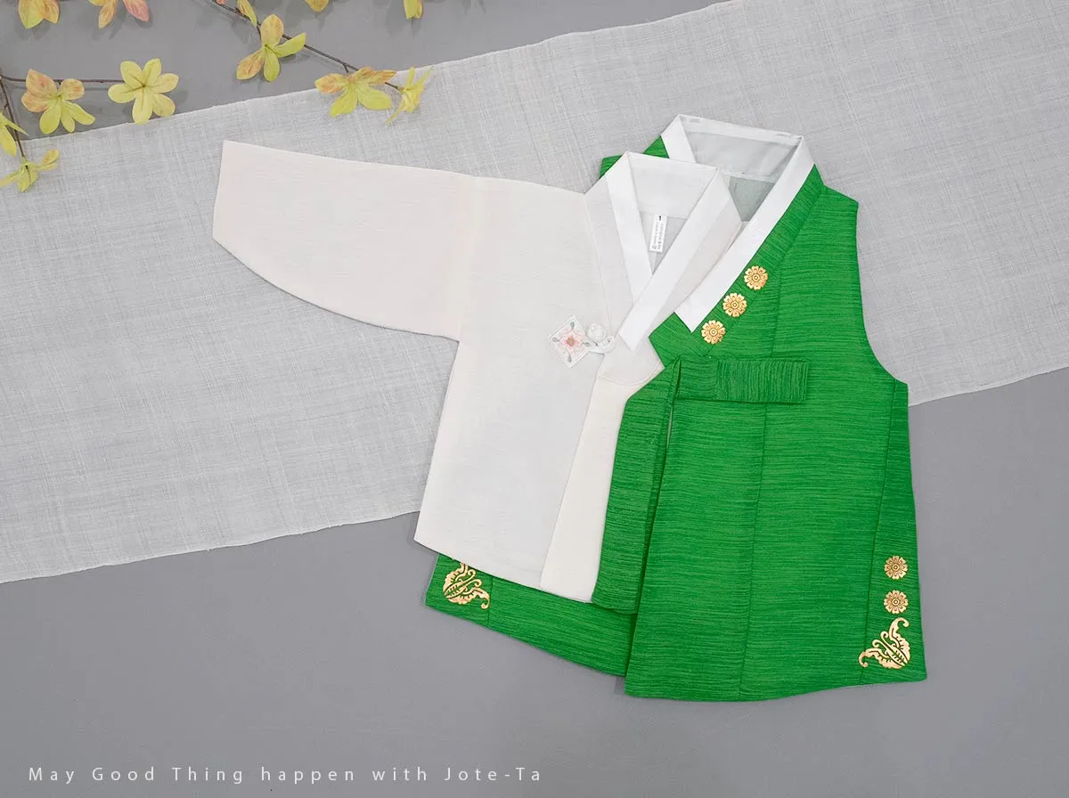 Gold Foil Traditional Pattern Doryeong Hanbok in Green