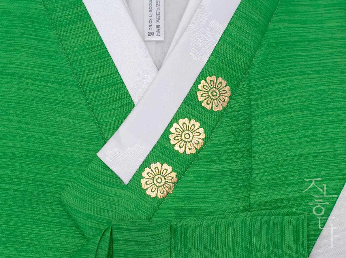 Gold Foil Traditional Pattern Doryeong Hanbok in Green