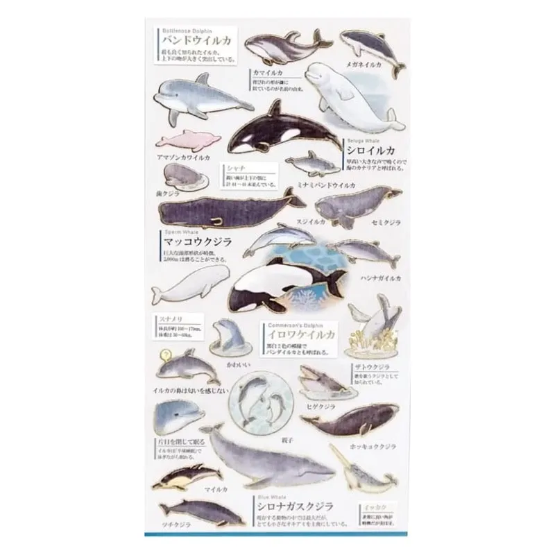 Goldfoil Sticker Sheet · Dolphins and Whales