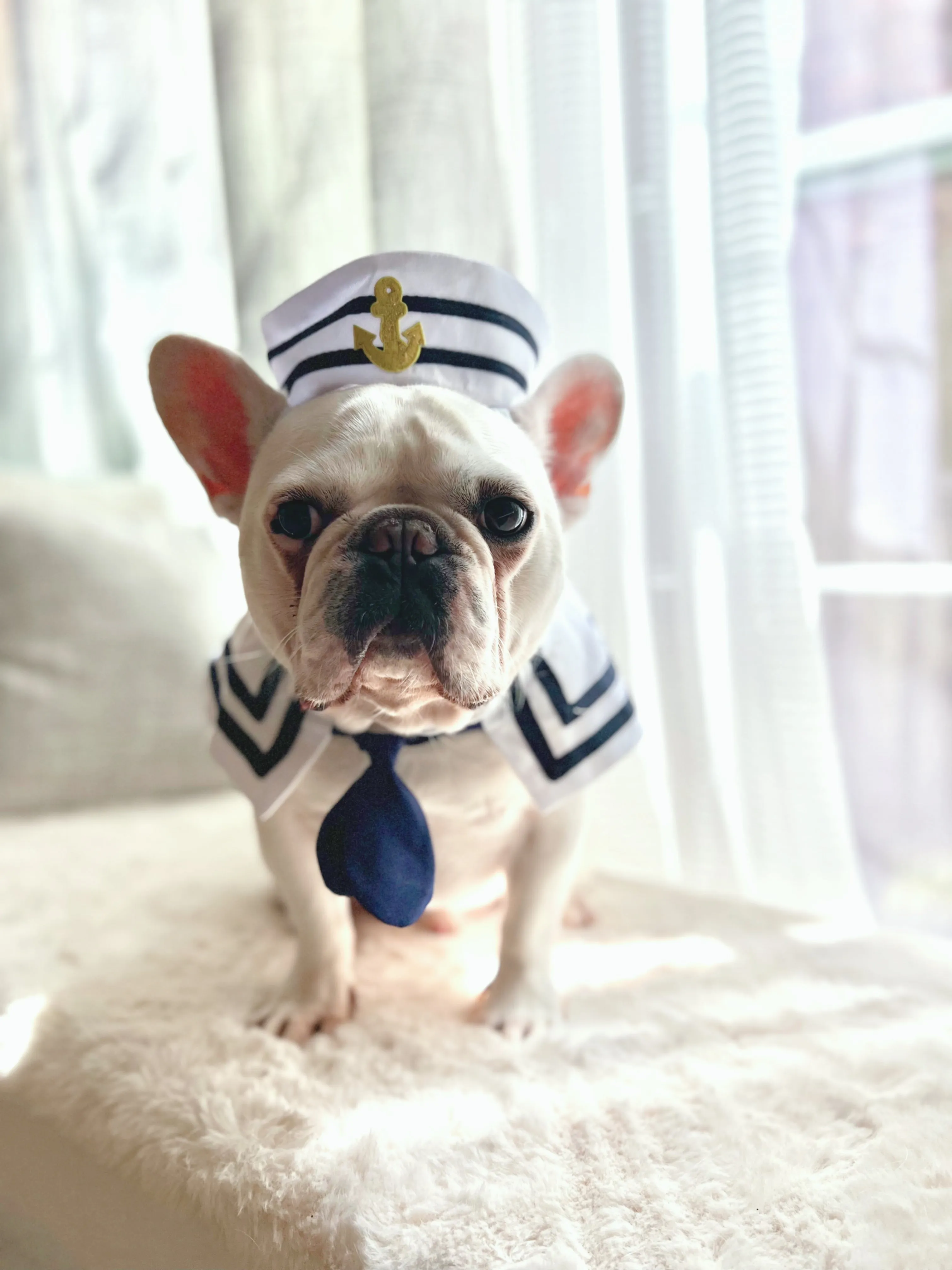 Halloween Deckhand Sailor Bandana and Hat Costume