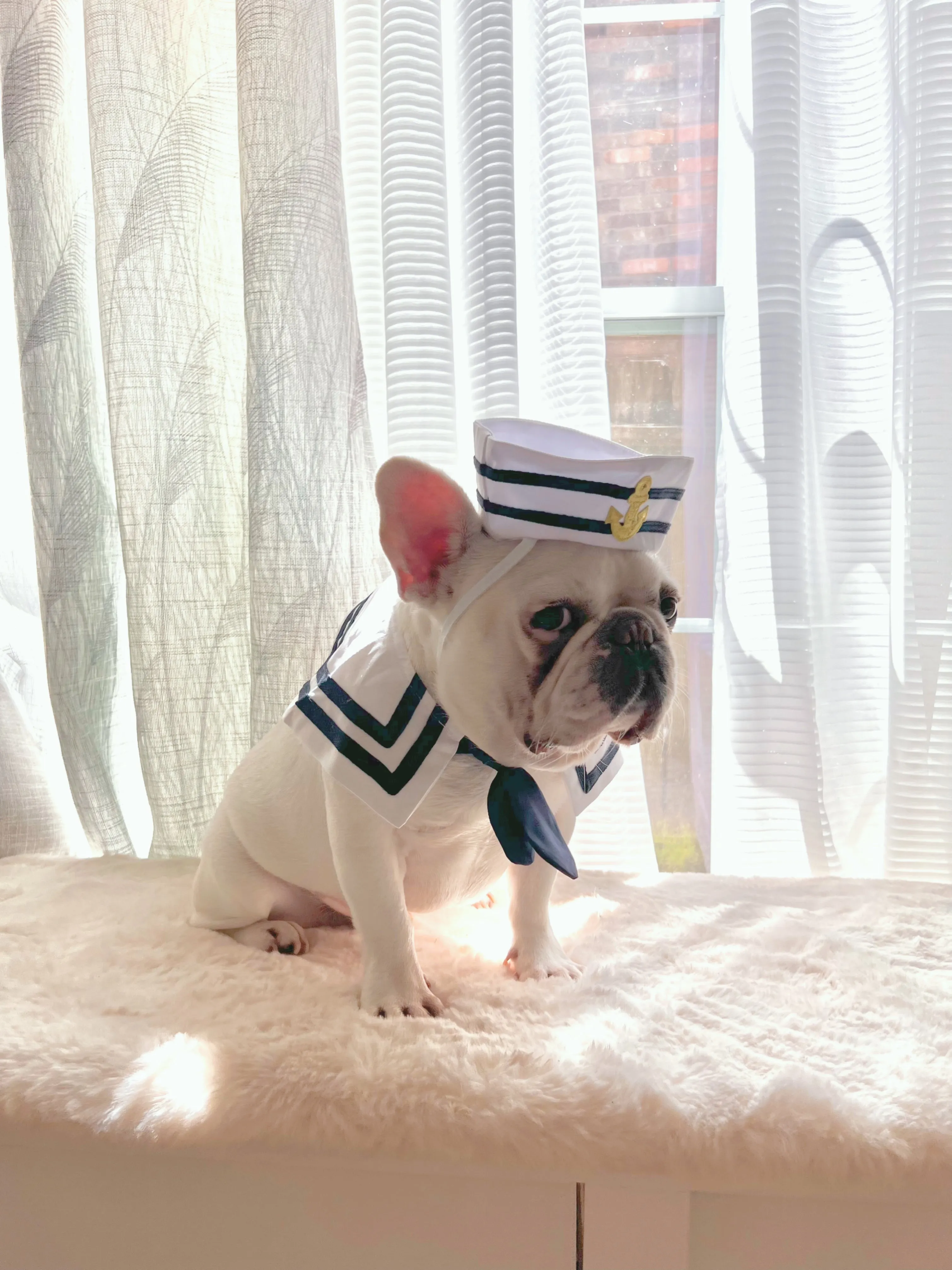 Halloween Deckhand Sailor Bandana and Hat Costume