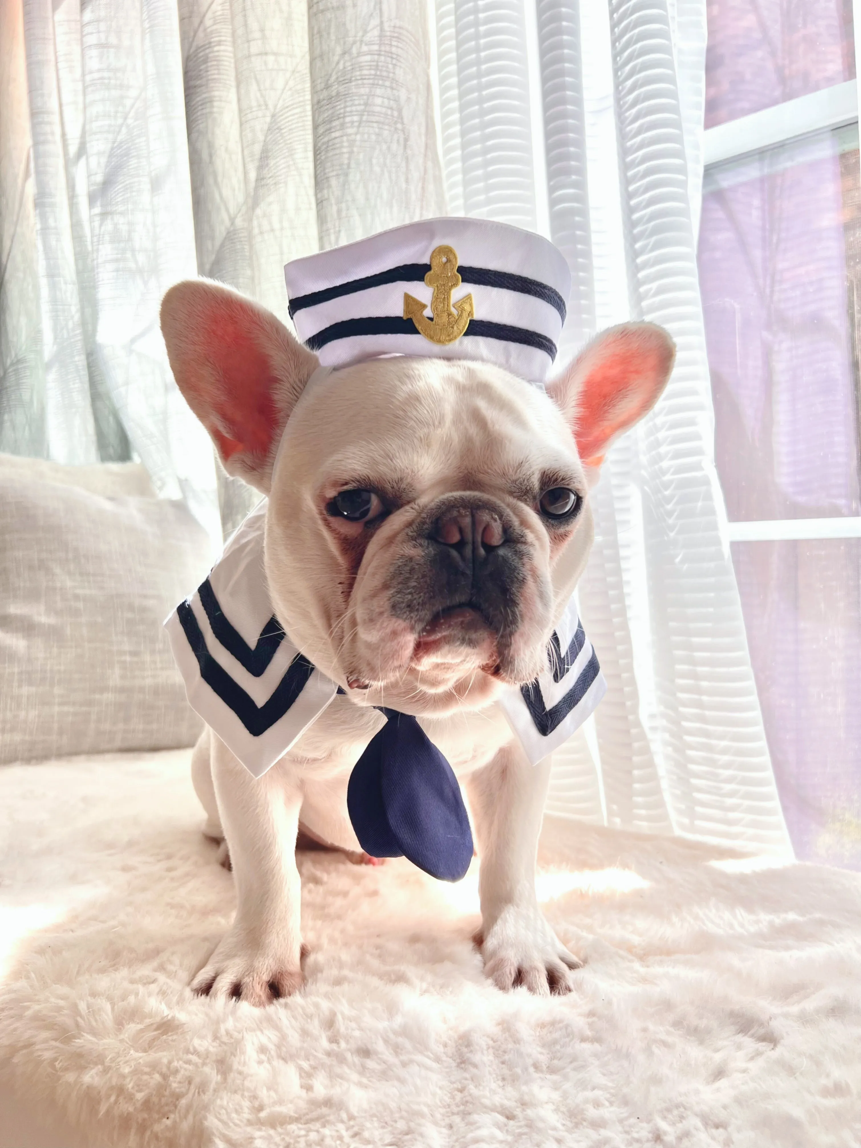 Halloween Deckhand Sailor Bandana and Hat Costume