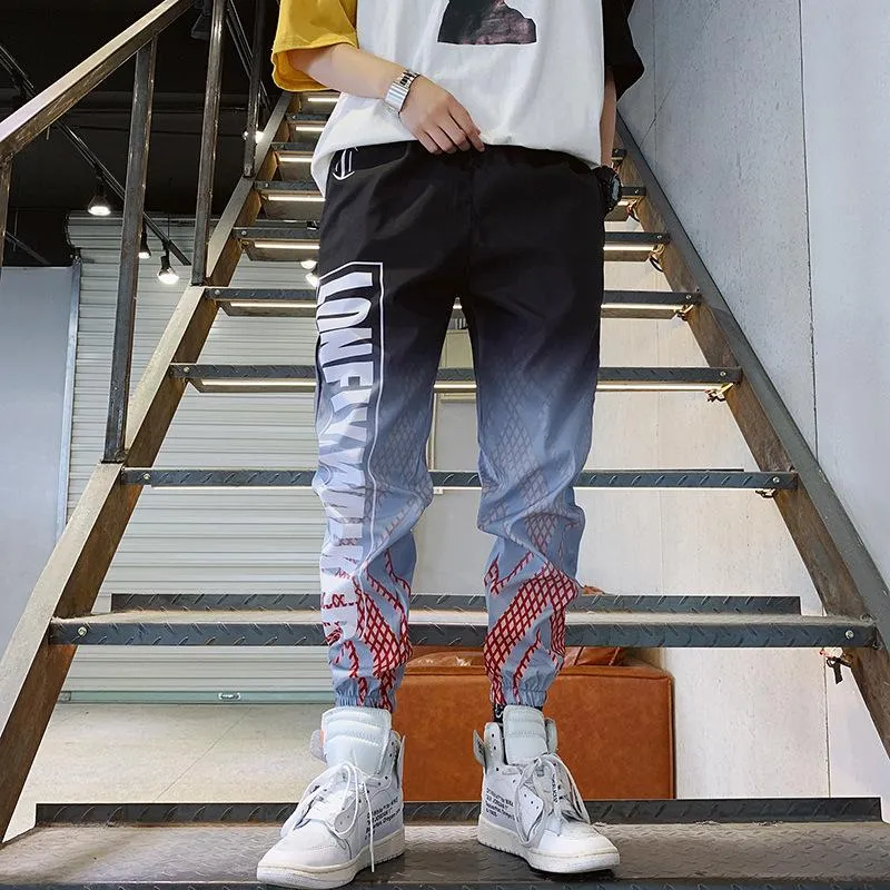 insHip-Hop Gradient Ankle-Length Pants