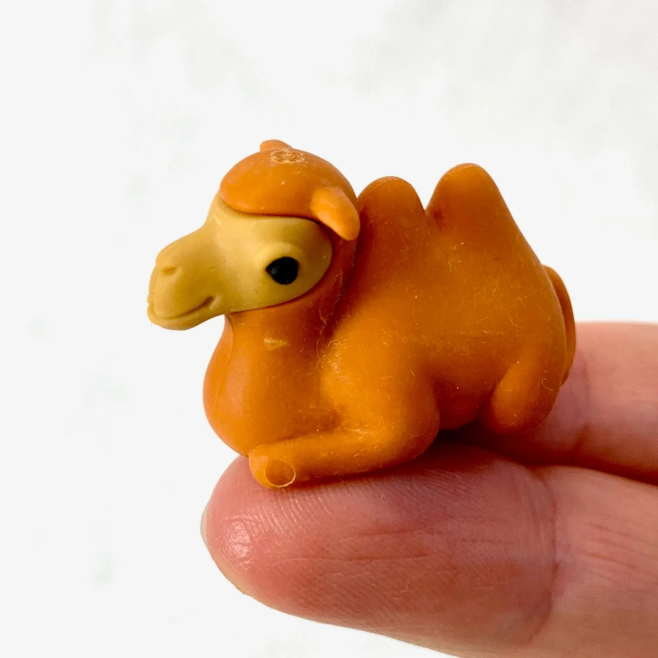 Iwako Safari Eraser | 382371 | BCmini