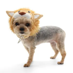 Lion Hat