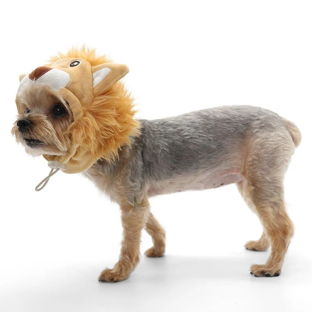 Lion Hat