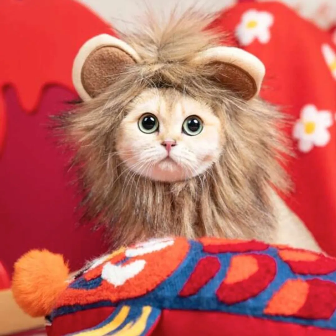 Lion Mane Cat Costume | Cute Wig for Pets