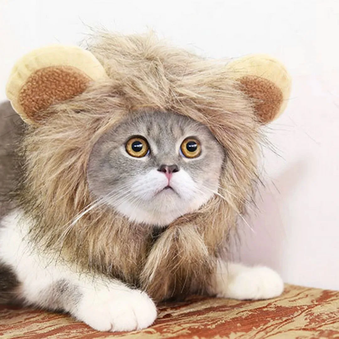 Lion Mane Cat Costume | Cute Wig for Pets