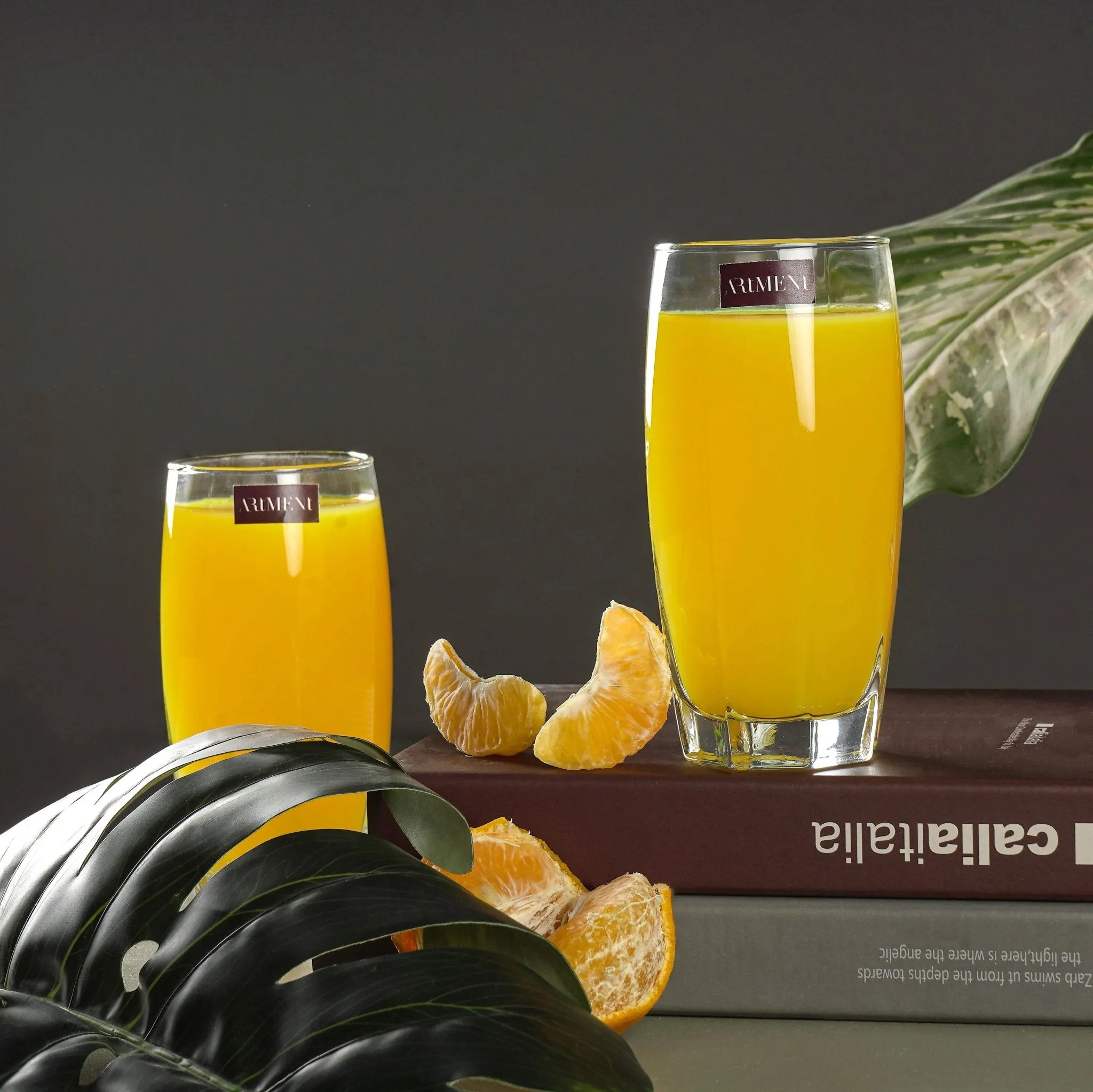 Minimalist Solid Drinking Glasses
