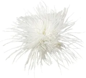 Ostrich Feather Brooch Pin for Women Girls Elegant Vintage Fluffy Ostrich Feather Brooch Pin Headpieces Hair Clips for Bridal Wedding Party Costumes Party Hat Accessory