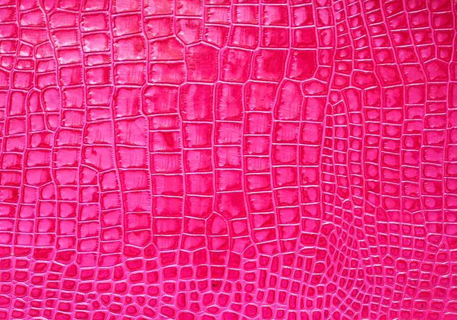 POISON Corset < DIVA-2 >