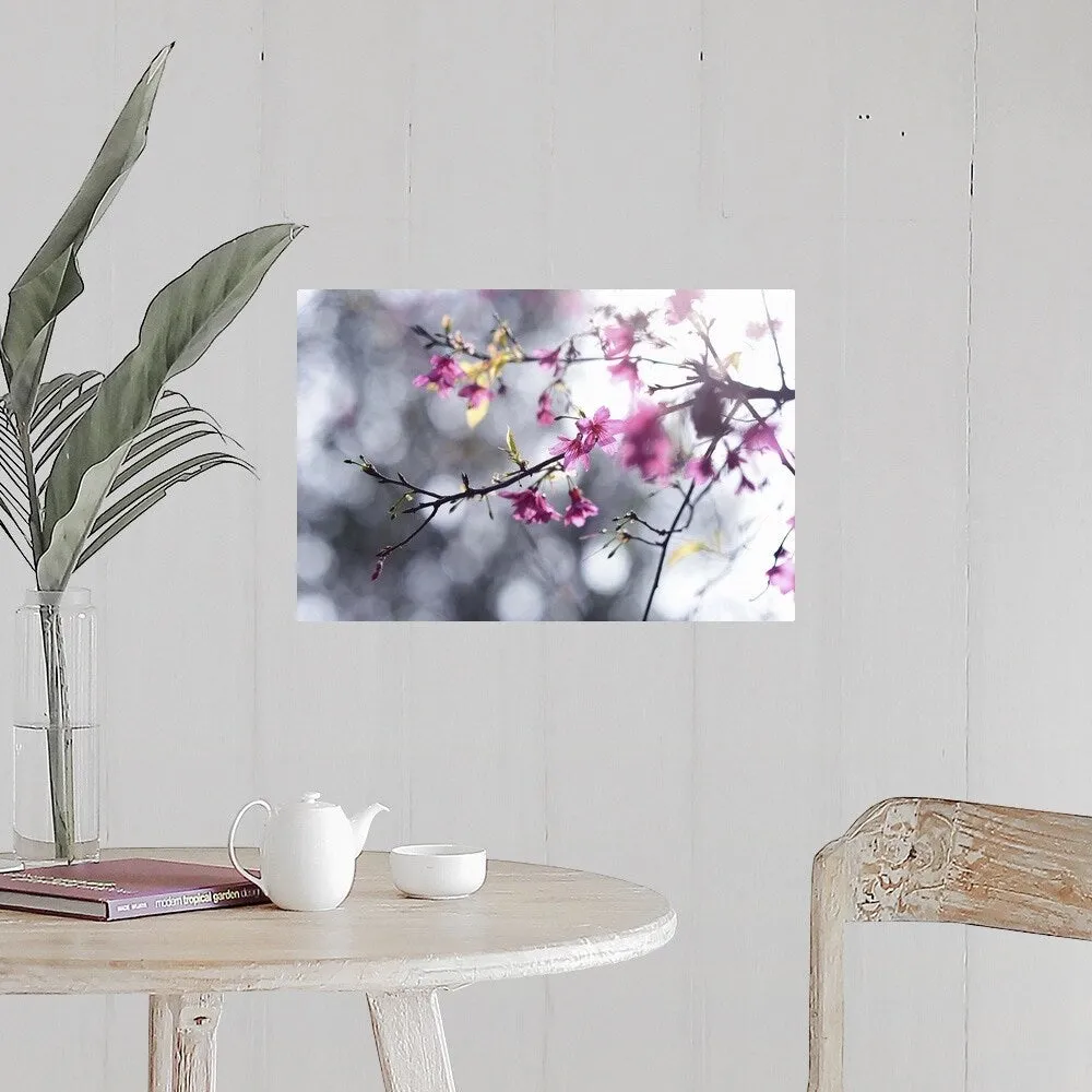 "Beautiful Sakura, , Taiwan" Poster Print - Multi