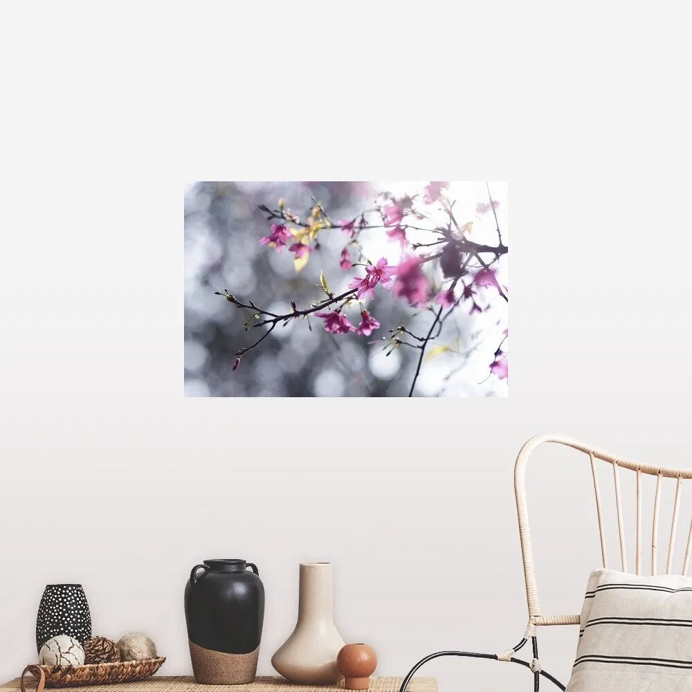 "Beautiful Sakura, , Taiwan" Poster Print - Multi