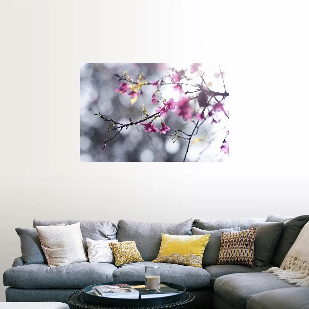 "Beautiful Sakura, , Taiwan" Poster Print - Multi
