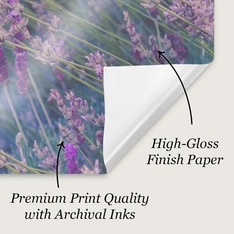 "Beautiful Sakura, , Taiwan" Poster Print - Multi