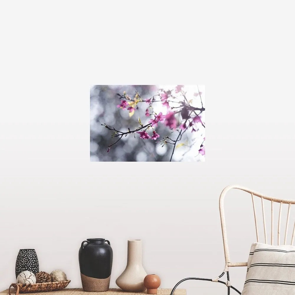 "Beautiful Sakura, , Taiwan" Poster Print - Multi