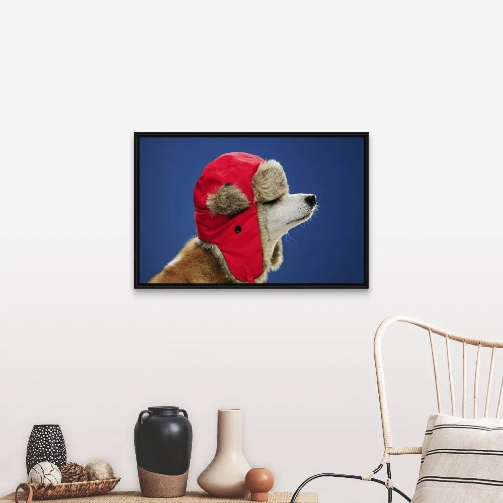 "Dog wearing his winter hat" Black Float Frame Canvas Art