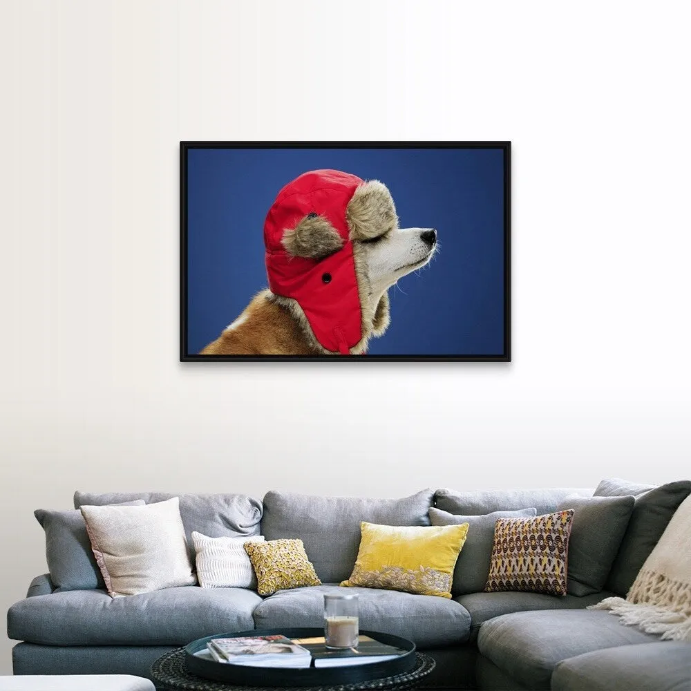 "Dog wearing his winter hat" Black Float Frame Canvas Art