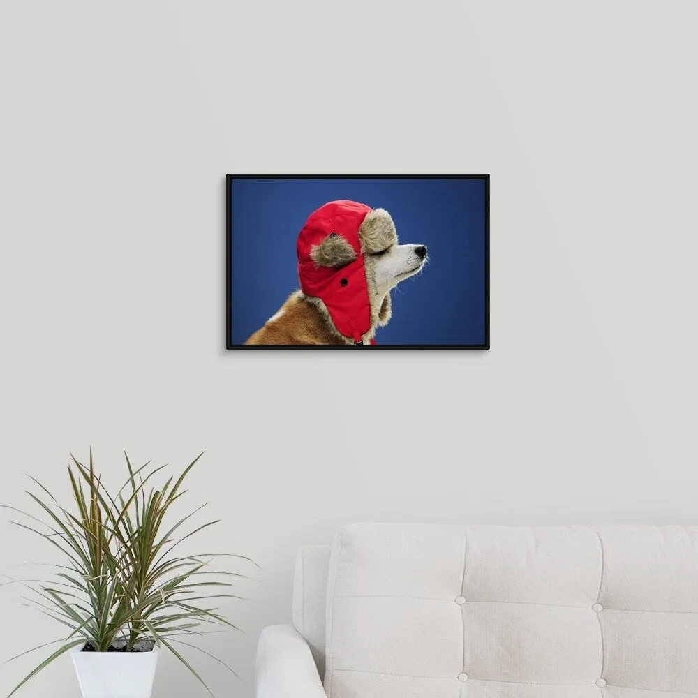 "Dog wearing his winter hat" Black Float Frame Canvas Art