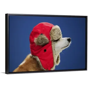"Dog wearing his winter hat" Black Float Frame Canvas Art