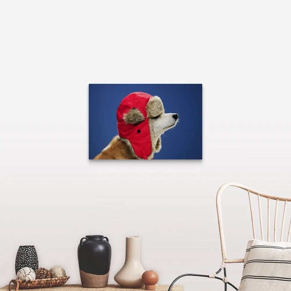 "Dog wearing his winter hat" Canvas Wall Art