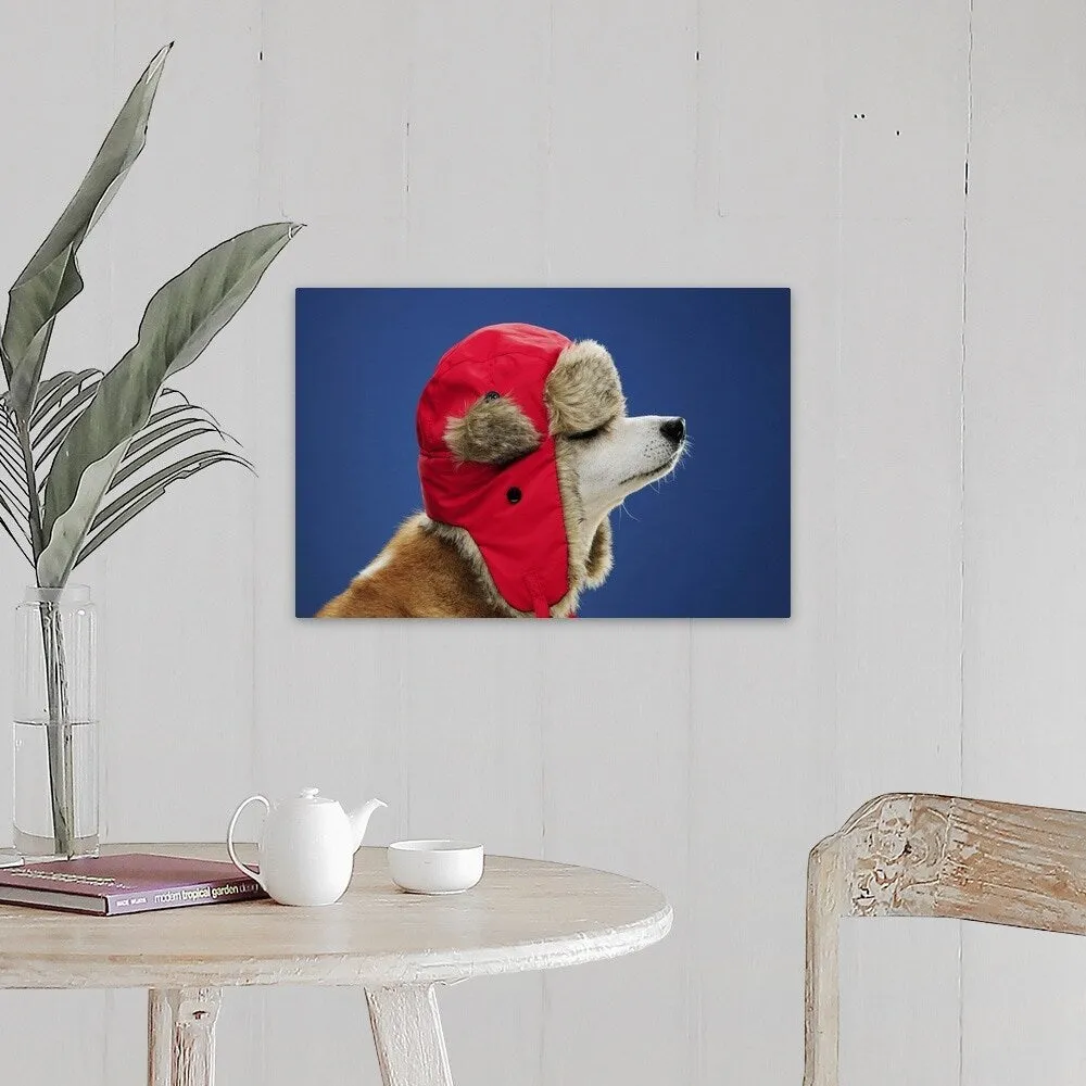 "Dog wearing his winter hat" Canvas Wall Art