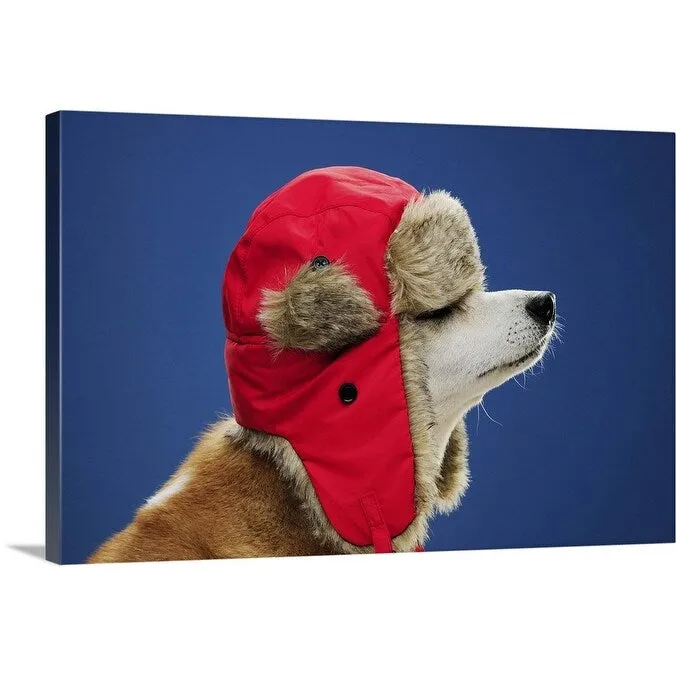 "Dog wearing his winter hat" Canvas Wall Art