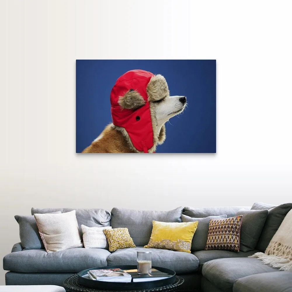 "Dog wearing his winter hat" Canvas Wall Art